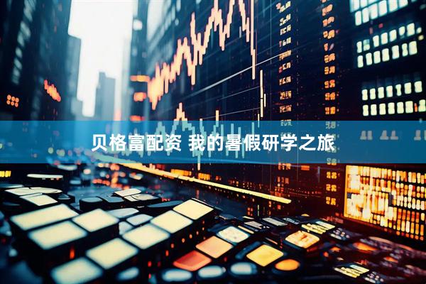 贝格富配资 我的暑假研学之旅