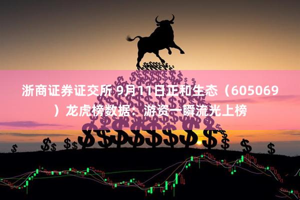 浙商证券证交所 9月11日正和生态（605069）龙虎榜数据：游资一瞬流光上榜