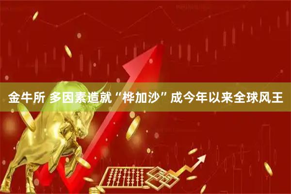 金牛所 多因素造就“桦加沙”成今年以来全球风王