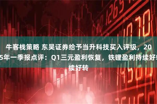 牛客栈策略 东吴证券给予当升科技买入评级，2025年一季报点评：Q1三元盈利恢复，铁锂盈利持续好转