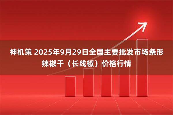 神机策 2025年9月29日全国主要批发市场条形辣椒干（长线椒）价格行情