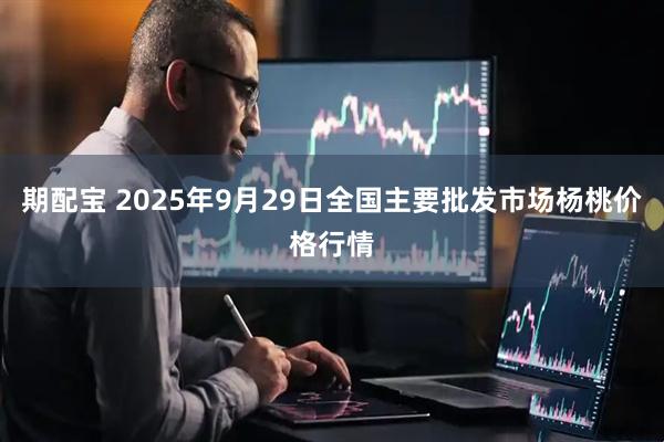 期配宝 2025年9月29日全国主要批发市场杨桃价格行情